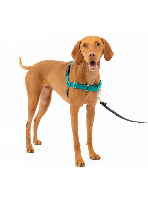 PetSafe Easy Walk No-Pull Dog Harness  Perfect for Leash & Harness Training