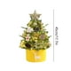 thumbnail image 3 of Adornos navideños, miniárbol de Navidad blanco flocado, adornos navideños, decoración pequeña encriptada, mini colgante de escritorio, 3 of 6