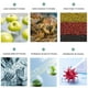 thumbnail image 5 of Generador digital de ozono, Esterilizador De Ozono Para Alimentos, Máquinas de desintoxicación Frutas Verduras Carne Hidroponía de agua dulce, Home Purificador de agua y aire Esterilizador, 5 of 5