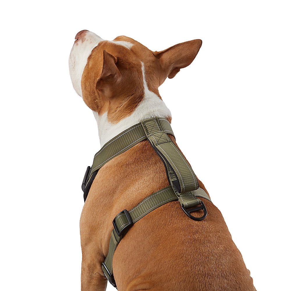 KONG Max Ultra Durable Neoprene Padded Chest Plate Dog Harness offered by The Barker Company (Green, Medium)