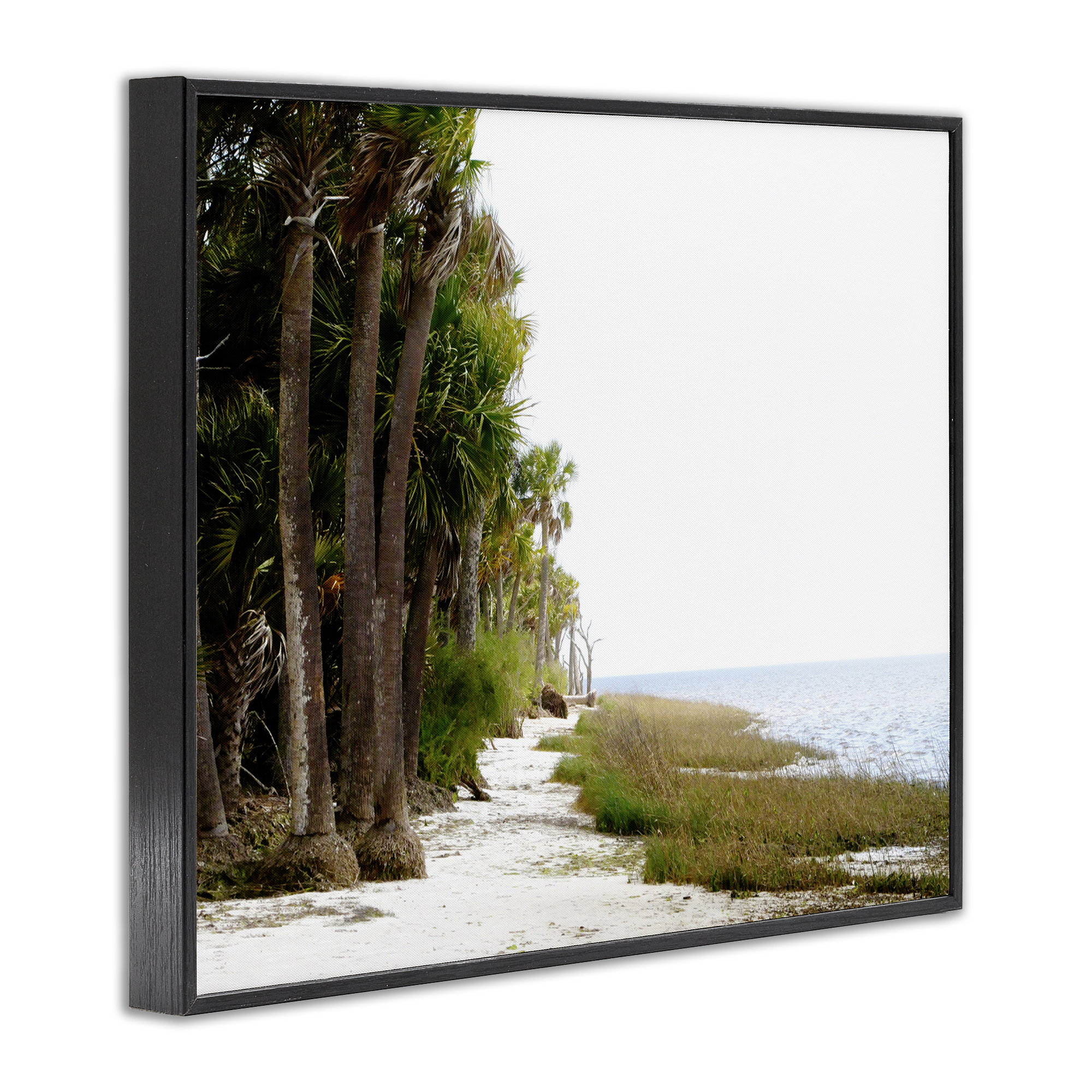 Stupell Industries Palm Beach Path Landscape Photography Black Framed Art Print Wall Art, 30 x 24