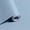 Blue,Grey, variant on Black Peel and Stick Wallpaper Black Contact Paper Decorative Self-Adhesive Wallpaper Waterproof Removable Contact Paper for Wall Covering Furniture Cabinet Countertop Vinyl Roll 78.7"x17.7"