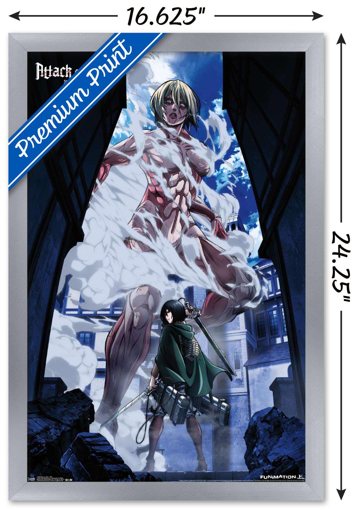 Attack on Titan - DVD Wall Poster, 14.725" x 22.375", Framed
