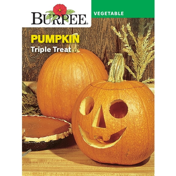 Burpee Triple Treat Pumpkin Vegetable Seed, 1-Pack