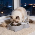 thumbnail image 4 of SHENGXINY Stainless Steel Cat Food Bowl and Water Bowl Set - 2 in 1 Automatic Gravity Water Dispenser, Leakproof Clean Feeder for Small Medium Dogs & Cats Gray 13.78x6.1x9.84in, 4 of 6