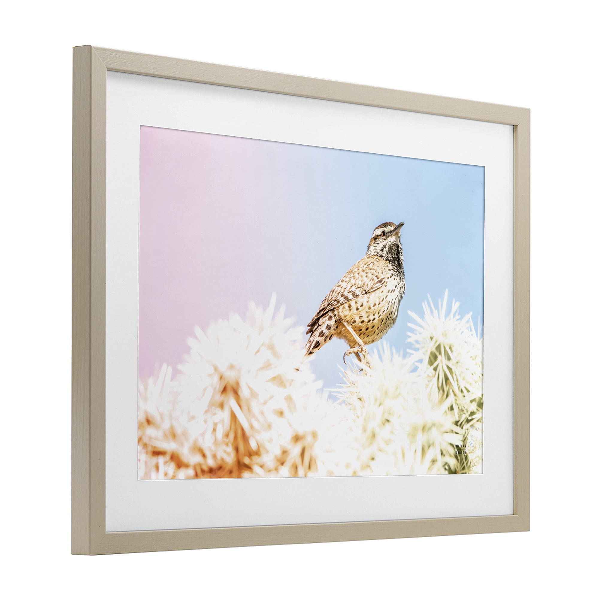 Stupell Industries Desert Song Bird Birch Framed Print Under Glass, design by Nathan Larson