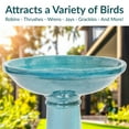 thumbnail image 4 of Sunnydaze Calais Freestanding Ceramic Pedestal Bird Bath, 4 of 12