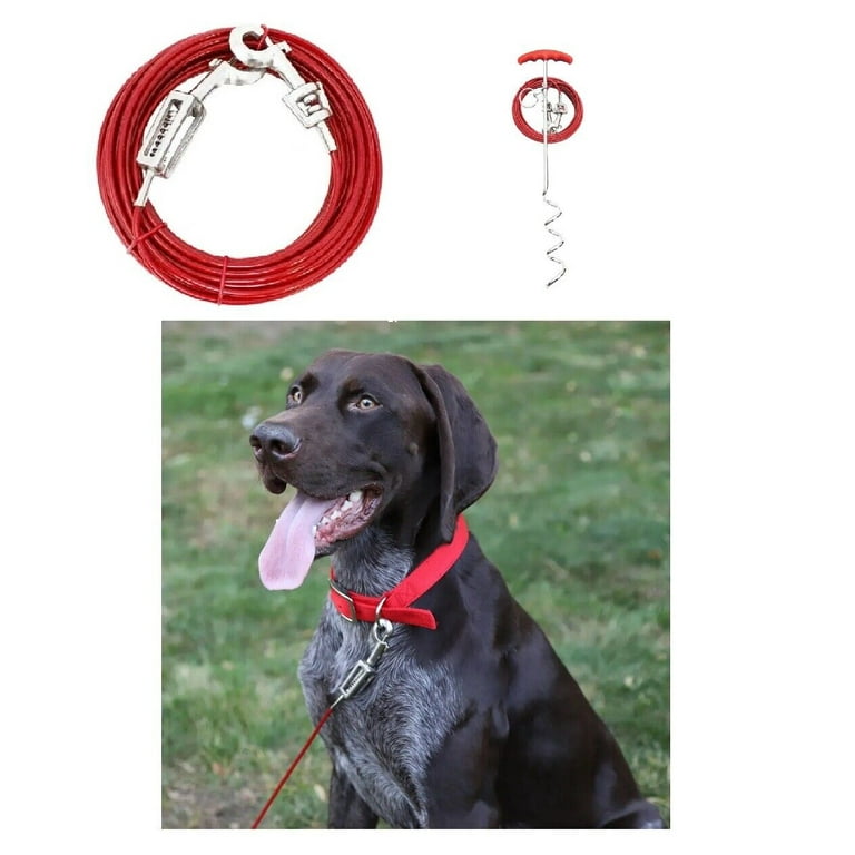 Heavy Duty 40 Foot Dog Tie Out 30 Ft Dog Tie Out Cable Boss Pet 40-