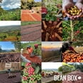 thumbnail image 4 of Espresso Velluto - Roasted by Blossom Coffee Roasters - Whole Bean Coffee - 12 Ounce Bag, 4 of 5