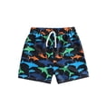 thumbnail image 2 of DJDLJWCJ Boys Summer Shorts Elastic Waist Quick Dry Loose Fit Casual Shorts for Outdoor Sports Stretch Athletic Shorts, Multicolor 18 Months, 2 of 9