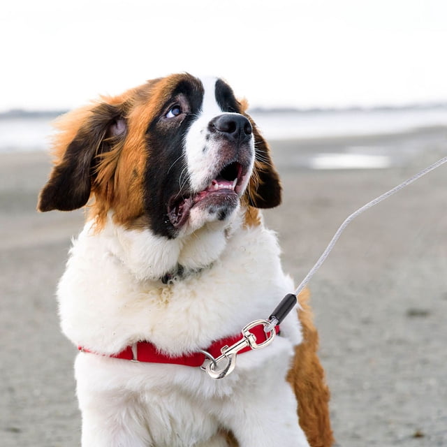 YSNOOWE 1pc Lengthened Double Head Steel Wire Dog Leash Pulling Rope Kit For Dogs Durable Pet Supplies For Outdoor Use