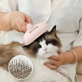 thumbnail image 4 of Peigne à Vaporiser pour Chats Outil de Toilettage Efficace pour un Manteau Plus Sain, 4 of 7