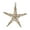 Gold, variant on White Iron Craft Starfish Ornament, Glitter Finish, For Window Or Christmas Tree Topper