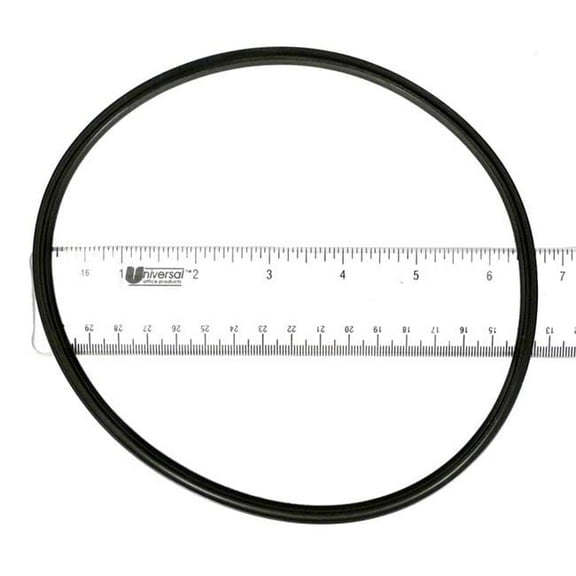 Pentair Duad DE MPV Lid O-Ring