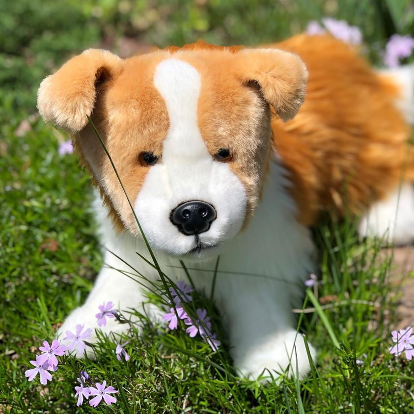 Zelda Red Coated Border Collie Plush Stuffed Animal - Walmart.com