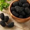 thumbnail image 3 of Fresh Blackberries, 12 oz. Container, 3 of 8
