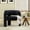 Dark Gray, variant on BouPower Modern Accent Barrel Chair, Sherpa Upholstered Boucle Barrel Club Chair with Curved Backrest, Rubberwood Frame, Foot Pads, Mid Century Single Armchair for Living Room,Bedroom,Waiting Room