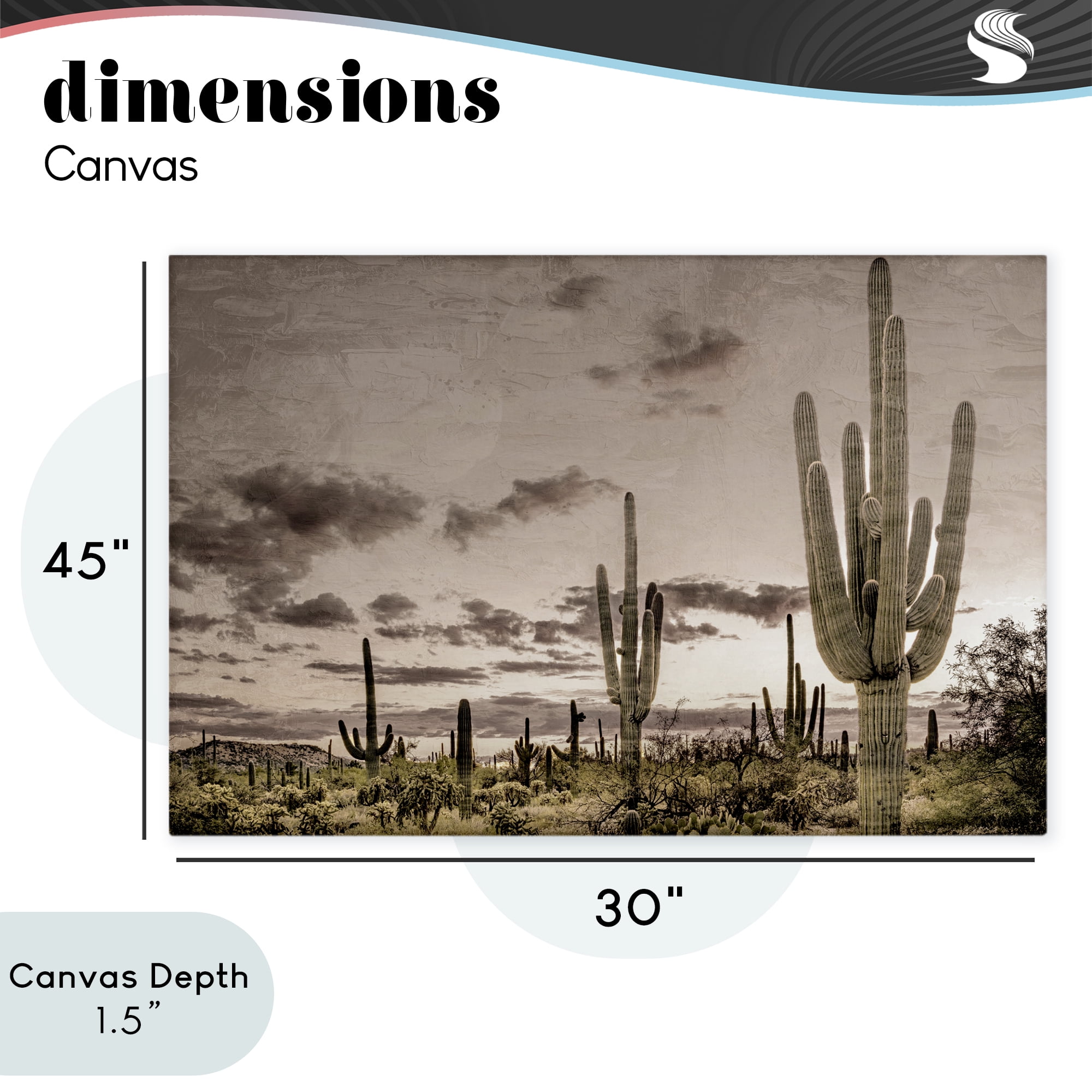 Stupell Industries Desert Sky Wilderness Canvas Wall Art, design by Kim Allen