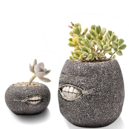 

IMSHIE 2 Pcs Face Planter Resin Succulent Planter Holder Creative Diy Resin Plants Pot Mini Desktop Ornament Succulent Herb Flower Pot Holder adorable