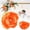 F, variant on 1-Pack Artificial Peonies Heads, 2.36 Inch Silk Faux Peony Head for Wedding/Bouquet/Flower Wall/DIY Crafts/Party Decoration, Retro Large Flower Heads Buds [6cm]