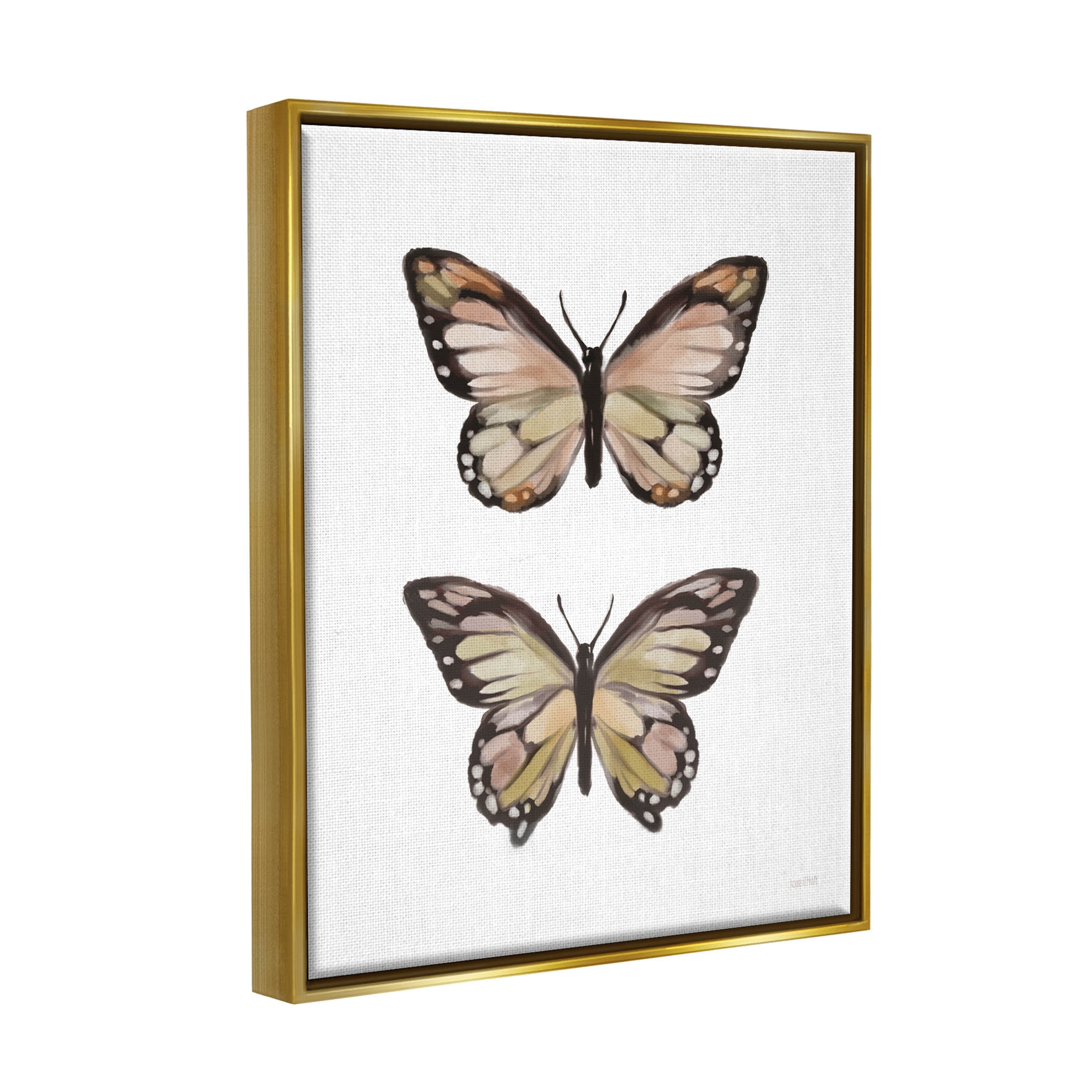 Stupell Industries Butterfly Wings Insect Portrait Graphic Art Metallic Gold Floating Framed Canvas Print Wall Art, Design by House Fenway