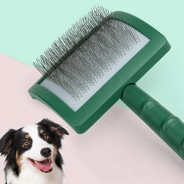 Dog brush for 2025 australian shepherd