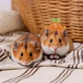 thumbnail image 4 of Adorable Hat for Small and Cats with Adjustable Strap Soft Breathable Outdoor, 4 of 4
