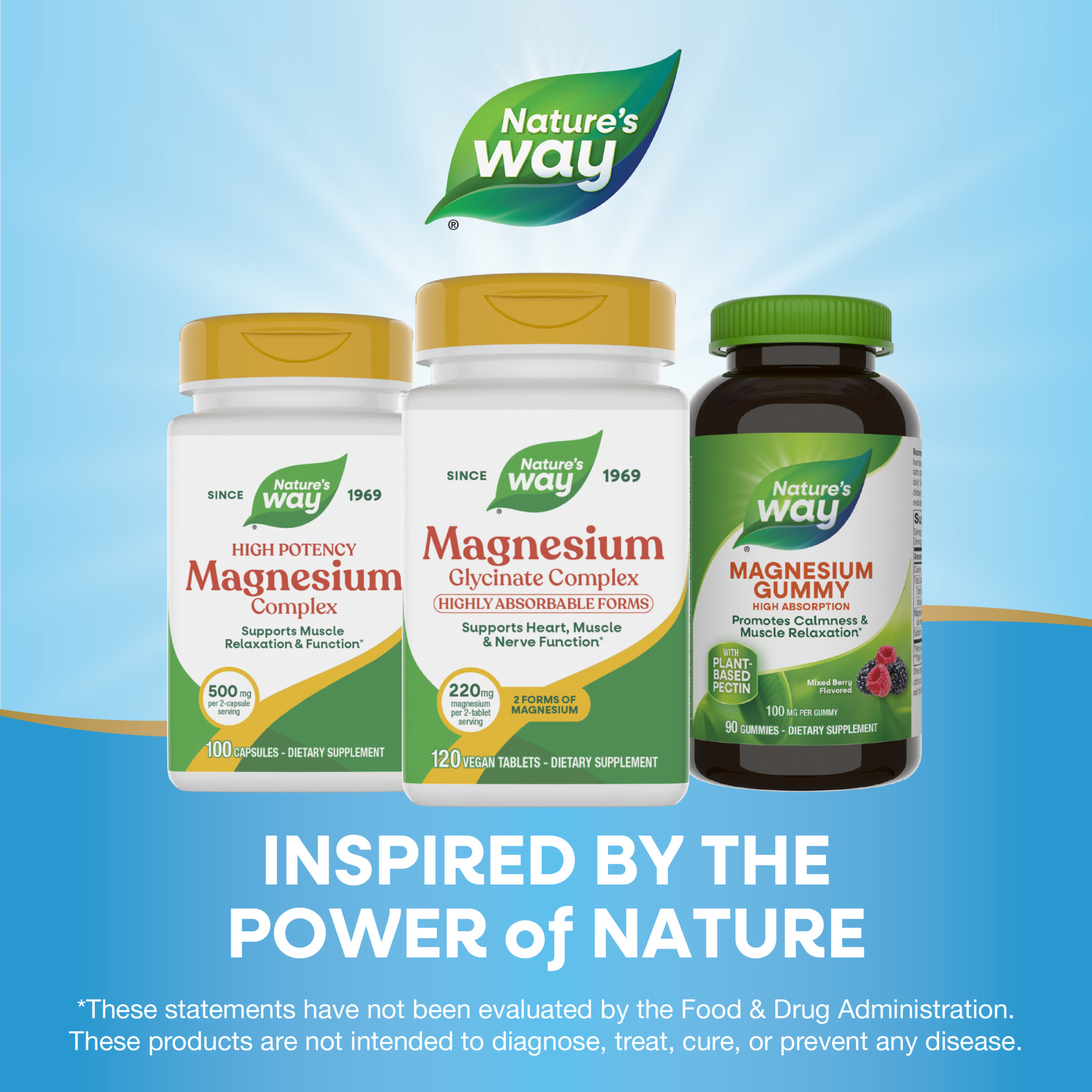 Nature’s Way Magnesium Glycinate Complex Tablets, with Magnesium Glycinate and Malate, Unisex, 120ct