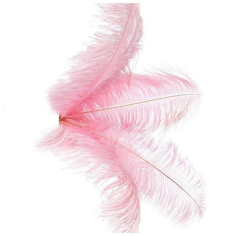 Ostrich Feathers 2/Pkg-Light Pink 