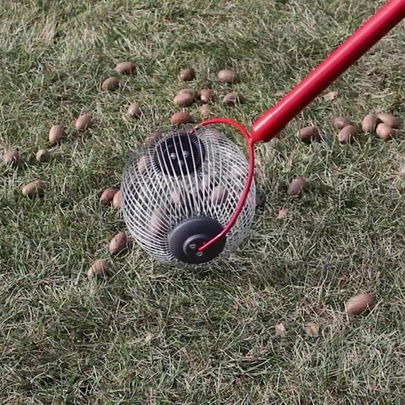 Nut Picker Gatherer Upper Harvest Pecan Acorn Chestnut Balls Welded