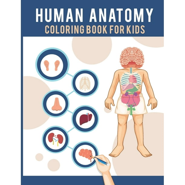 Download Human Anatomy Coloring Book For Kids Human Body Coloring Pages Fun And Educational Way To Learn About Human Anatomy Gift For Kids Paperback Walmart Com Walmart Com