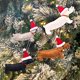 thumbnail image 2 of Nuevo diseño de árbol de Navidad, decoraciones bonitas de dibujos animados, regalo, perro salchicha de Navidad, pequeño colgante, 2 of 3