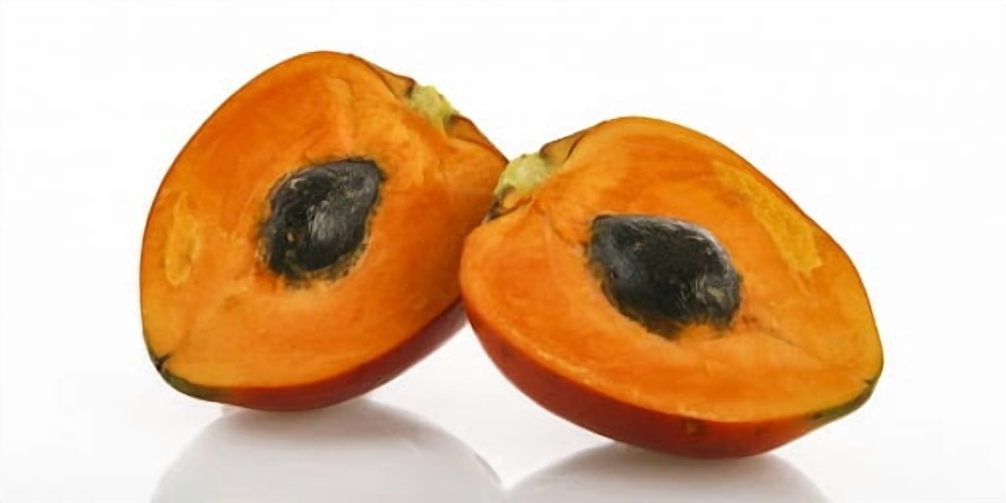Peach Palm Super Fruit in Brine Chontaduro en Salmuera 480g - Imported from Colombia