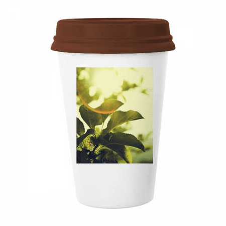

sunshine picture nature mug coffee drinking glass pottery cerac cup lid