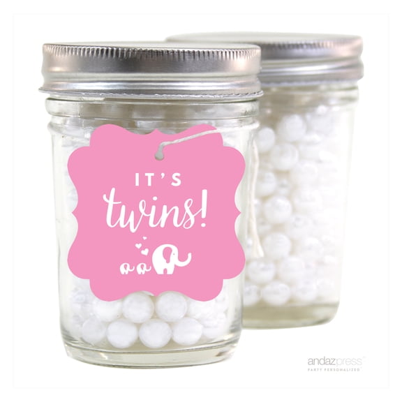 Bubblegum Pink Its Twins! Fancy Frame Square Baby Shower Gift Tags, 24-Pack