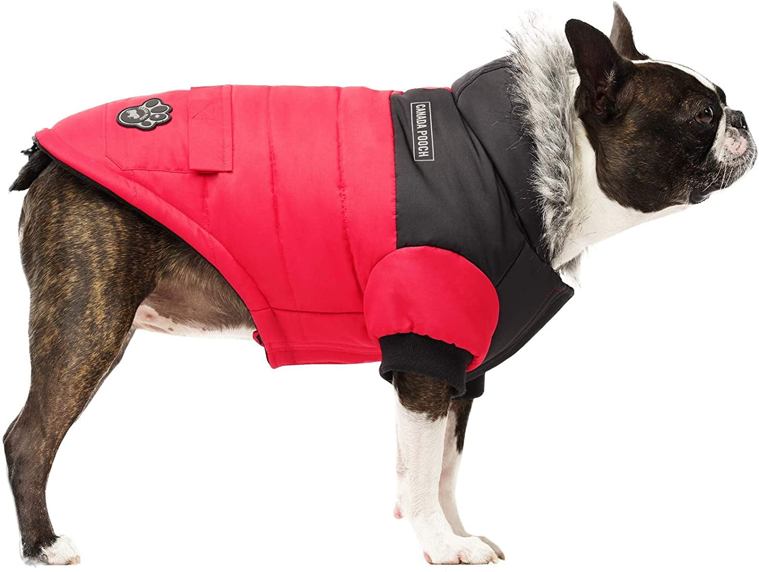 warmest dog coat ever