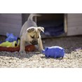 thumbnail image 3 of Multipet, Latex Dotted Pig Dog Toy, 3 of 9
