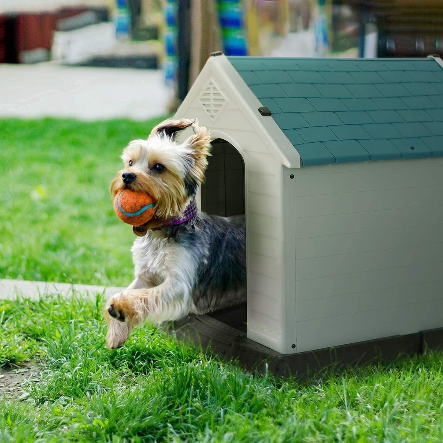 ZYPPP Large Plastic Dog House, Outdoor Indoor Waterproof Doghouse Pet Dog Kennel,Insulated Puppy Shelter w Elevated Floor and Air Vents, for Small Medium Large Dogs-28" H-Blue