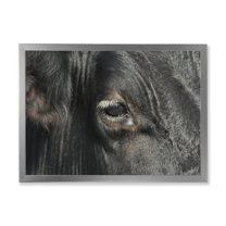 Designart 'Close-Up Of Cow Eye' Farmhouse Framed Art Print