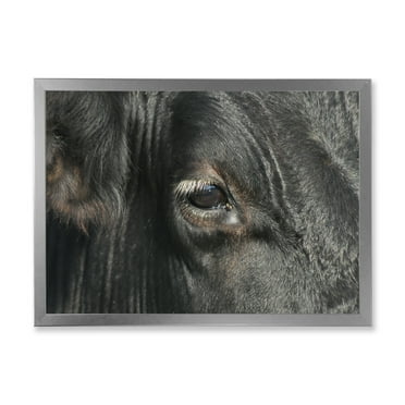 Designart 'Close-Up Of Cow Eye' Farmhouse Framed Art Print
