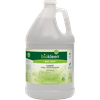 Biokleen Bac-Out Enzymatic Odor & Stain Remover for Pet Stains, Urine, Laundry, Diapers, Wine, Carpet, 128oz