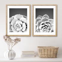 PixonSign Framed Wall Art Texas Succulent Cactus Posters, Set of 2 Black & White Desert Plants Photography Illustrations Wall Decor, Adhesive Canvas Prints for Home Decor - 11"x14" Natural