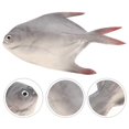 thumbnail image 3 of Realistic Fake Fish Model: for Kitchen Decoration Party Display Market Display Photography Props Aquarium Ornaments Models, 3 of 3