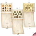 thumbnail image 4 of The Best Card Company 10 Assorted Thank You Notes Bulk Set 4x5.12 w/ Envelopes, 10x1 Designs, For Men, Women, Egg-cellence M10035TY, 4 of 7