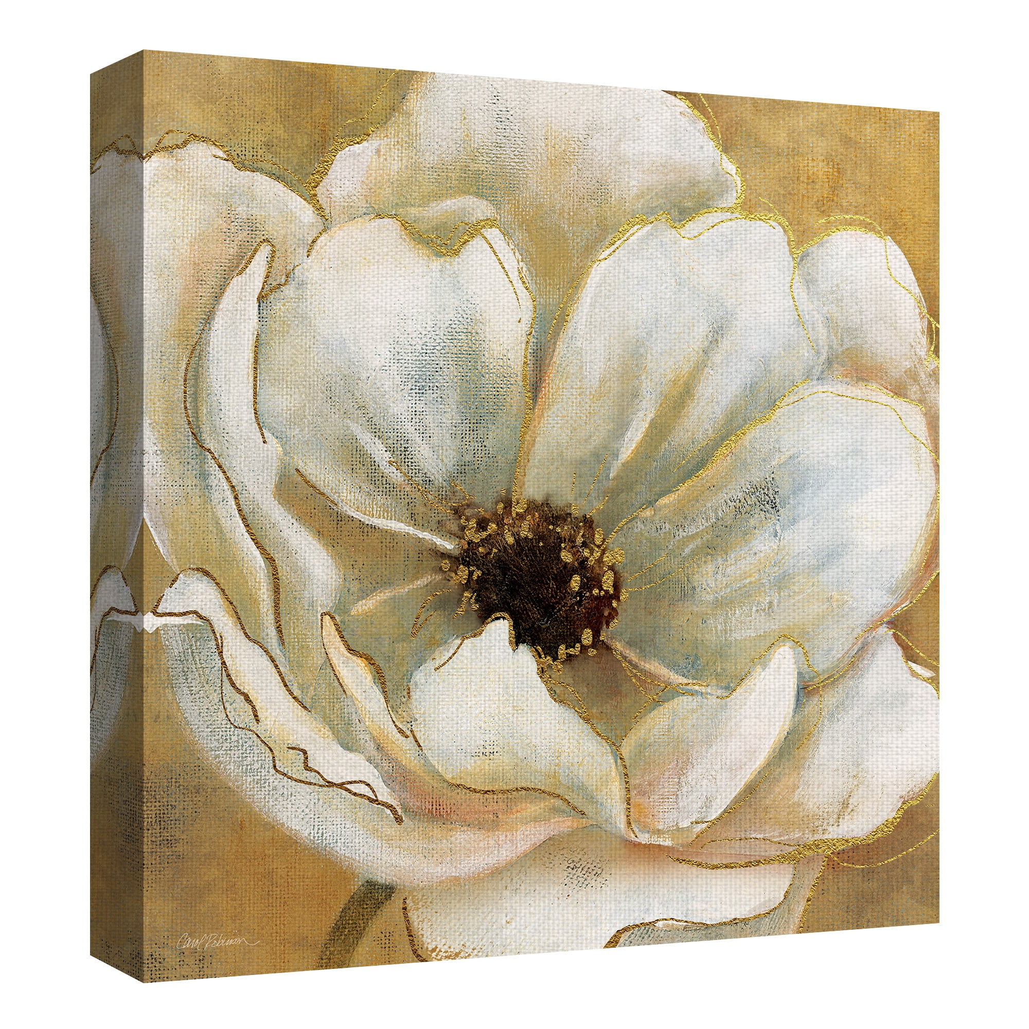 Masterpiece Art Gallery Golden Splendor I Anemone By Carol Robinson Canvas Art Print 24" x 24"