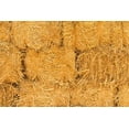 Natural Wheat Straw 1 LB Dry Straw, Clean and Soft Decorative Straw