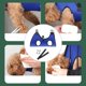 thumbnail image 2 of Hamaca de aseo para mascotas para recortar uñas - Juego completo de ayuda para peluqueros para mascotas - Hamaca de aseo para perros con gancho - Cortaúñas para gatos - Hamaca para perros pa, 2 of 5