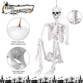 thumbnail image 5 of 7.9 FT Giant Oversized Human Plastic Skeleton Outdoor Decoration Flexible Joints, Standing & Hanging, 5 of 9