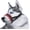 Red, variant on Soft Nylon Dog Muzzle Anti Barking Training Pet Mouth Mask Harness For Small Large Dogs Prevent From Biting, Adjustable Loop