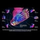 thumbnail image 4 of Foot For Neuropathy Feet Whole Body For Neuropathy Foot For Circulation And Pain Relief For Those Who Stand And Work All Day Flye3856, 4 of 4
